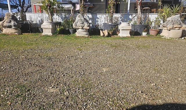 Roma dönemine ait 277 obje ve eser ele geçirildi