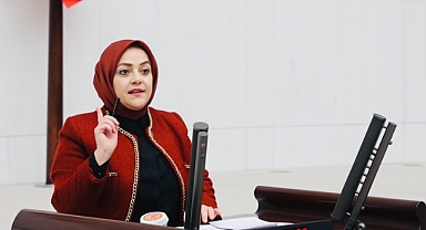 'Tarımda modernizasyon olmazsa, üretim yapacak çiftçi kalmayacak'