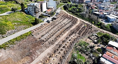 Bornova yeni bir orman kazanıyor