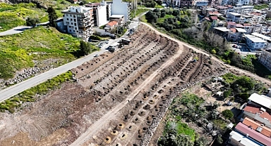Bornova yeni bir orman kazanıyor