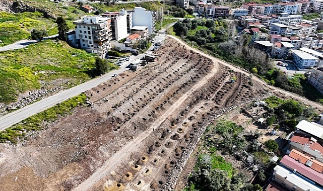Bornova yeni bir orman kazanıyor