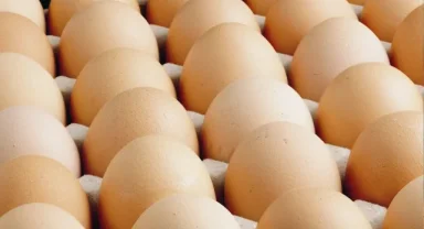 Yumurtada fon kesintisi ihracatı durduracak bir karar!