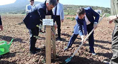 "Kökten Hayata" projesiyle 4 bin fidan toprakla buluşturuldu
