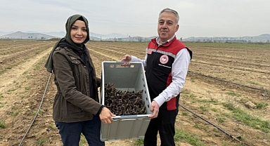 Kuşkonmazla yurt dışına açılmayı hedefliyor