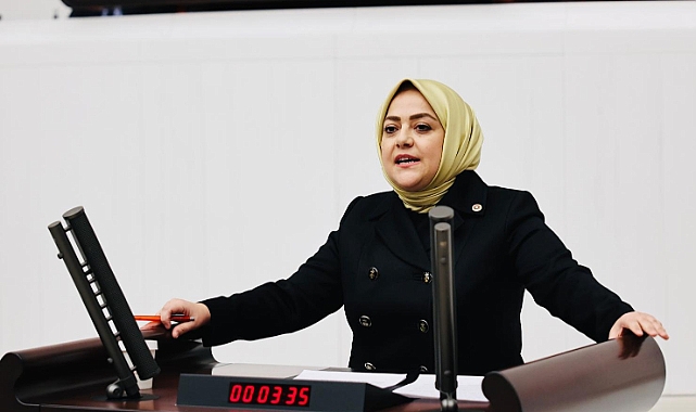 Milletvekili Ün, gündeme getirdi,