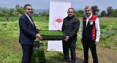 17 bin fide üreticilere teslim edildi