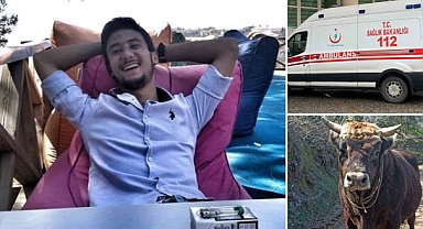 Aydın'da boğanın saldırısına uğrayan kişi öldü