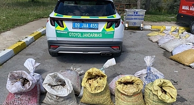 Aydın'da salyangoz taşıyan sürücüye para cezası