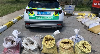 Aydın'da salyangoz taşıyan sürücüye para cezası