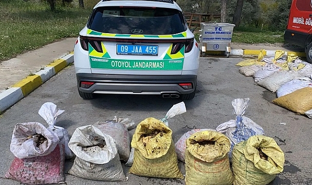 Aydın'da salyangoz taşıyan sürücüye para cezası