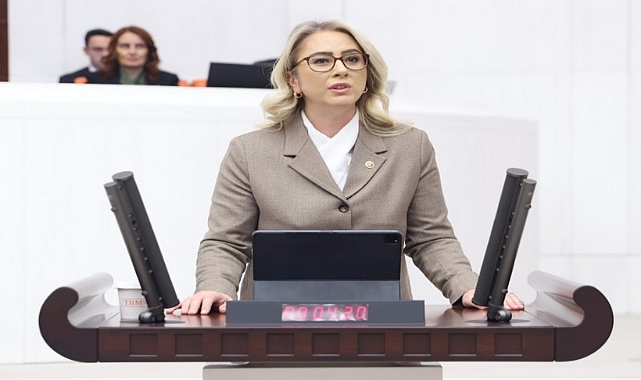 Çankırı’dan Özel'e ‘cunta başkanı’ tepkisi