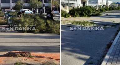 İAOSB'deki ağaç kesimine ilişkin açıklama