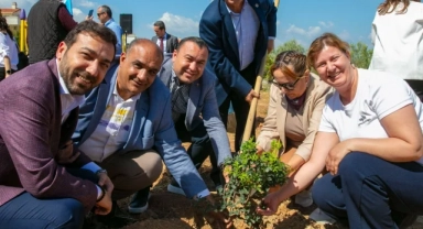 Güzelbahçe'de sakız ağaçları büyüyecek