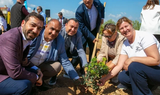 Güzelbahçe'de sakız ağaçları büyüyecek