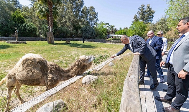 İzmir’in vicdanını temsil ediyorsunuz