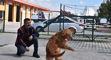 Kahraman Patilerden Biri: Çıtır