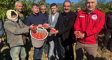 Manisa’da Erkenci Kirazda İlk Hasat Yapıldı