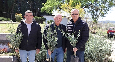 Urla’da zeytin üreticisine 7 bin fidan desteği