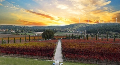 Urla ve Bozcaada’dan  gastronomide güç birliği