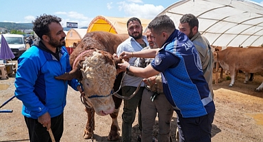 Gaziemir’de Kurban Denetimi