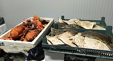 İzmir’de Kaçak Avcılara Rekor Ceza
