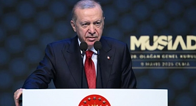 "Kimse ülkesini yabancılara şikayet edemez"