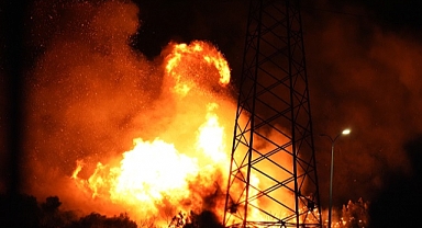 Aliağa’daki Orman Yangını Şüphelisi Tutuklandı