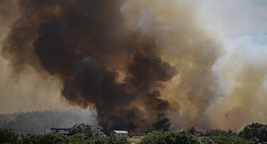 Bornova'da Tarla Yangını Ormana Sıçradı