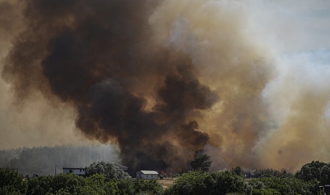 Bornova'da Tarla Yangını Ormana Sıçradı