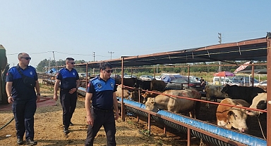 Çiğli’de Kurban Denetimi Tam Not Aldı