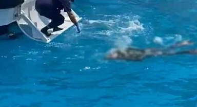 Denize Girdi, Bir Daha Çıkamadı!