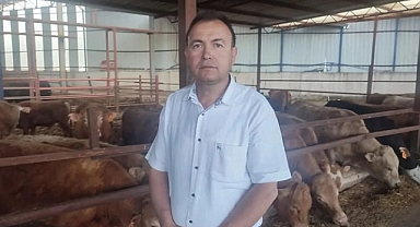 İş Adamı Hayvan Darbesiyle Hayatını Kaybetti