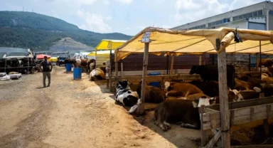 Bornova'da Kurban Pazarı kapılarını açtı