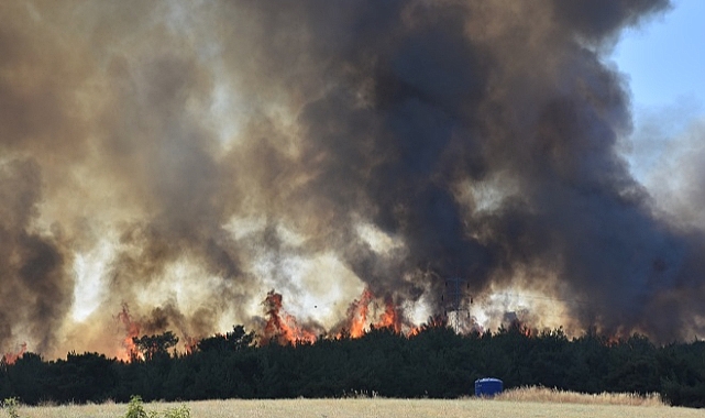İzmir’de Yangın Tadilat Kıvılcımından Çıktı