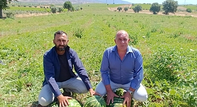 Salihli’de Karpuz Hasadı Moralsiz Başladı