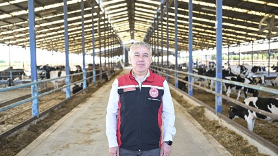 Yangından Kurtarılan Hayvanlara Özel Bakım