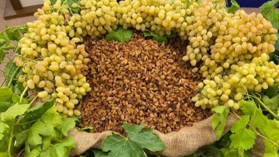 Kuru Meyvede Egeli Şampiyonlar