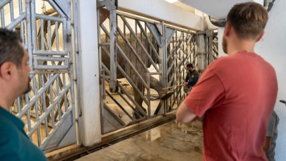 İzmir Doğal Yaşam Parkı’na Tam Not