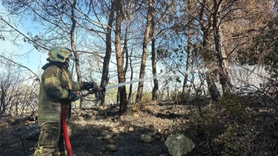Urla’da orman yangını
