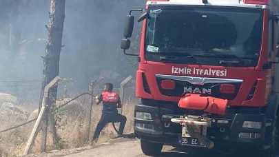 Bergama'daki orman ürünü kontrol” adı altında alındı
