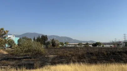 Bornova’da ot yangını korkuttu