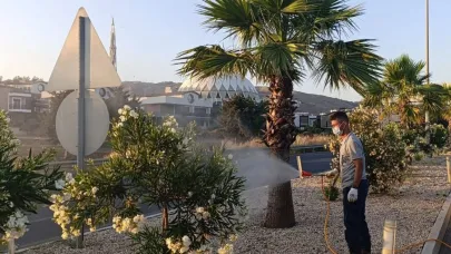 Güzelbahçe’de Hizmet Atağı Sürüyor