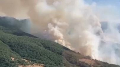 Bergama’daki Yangın Kontrol Altında,