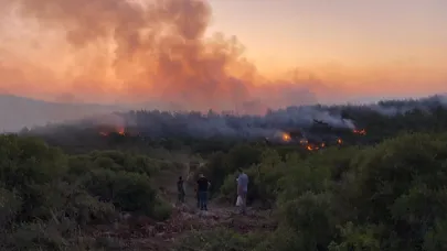 Urla’da orman yangını söndürüldü
