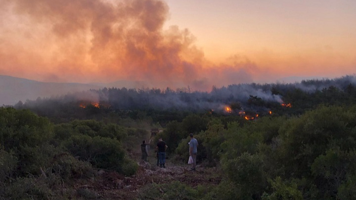Urla’da orman yangını söndürüldü
