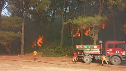 Gaziemir’de Orman Yangını Kontrol Altına Alınıyor