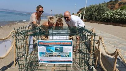 Menderes Sahilinde Caretta Heyecanı