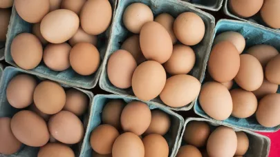 DFİF Kesintisi Kalktı, Yumurta İhracatçısı Nefes Aldı