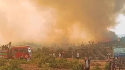 Orman yangınlarıyla ilgili 168 gözaltı, 39 tutuklama