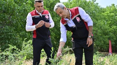 Bozdağ’da Blueberry Başarısı
